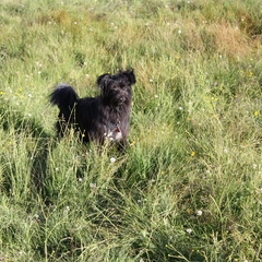 Urlaub im Allgäu (5)